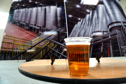 LagunitasAzusa4_web